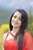 Trisha Hot Saree Photos